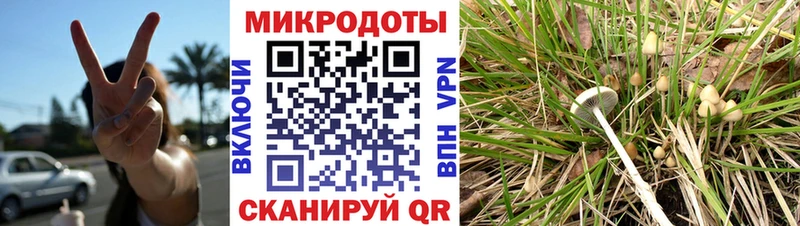 Галлюциногенные грибы ЛСД  Таруса 